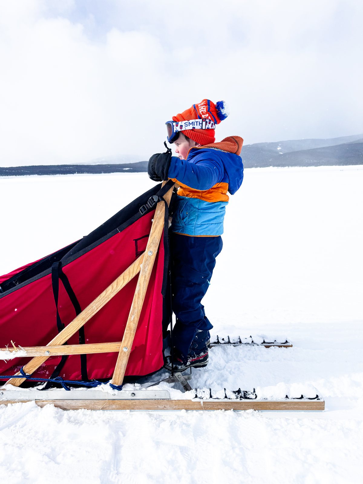 A child in a red hat stands on the runners of a dog sled with Alpine Adventures Dogsledding near Leadville