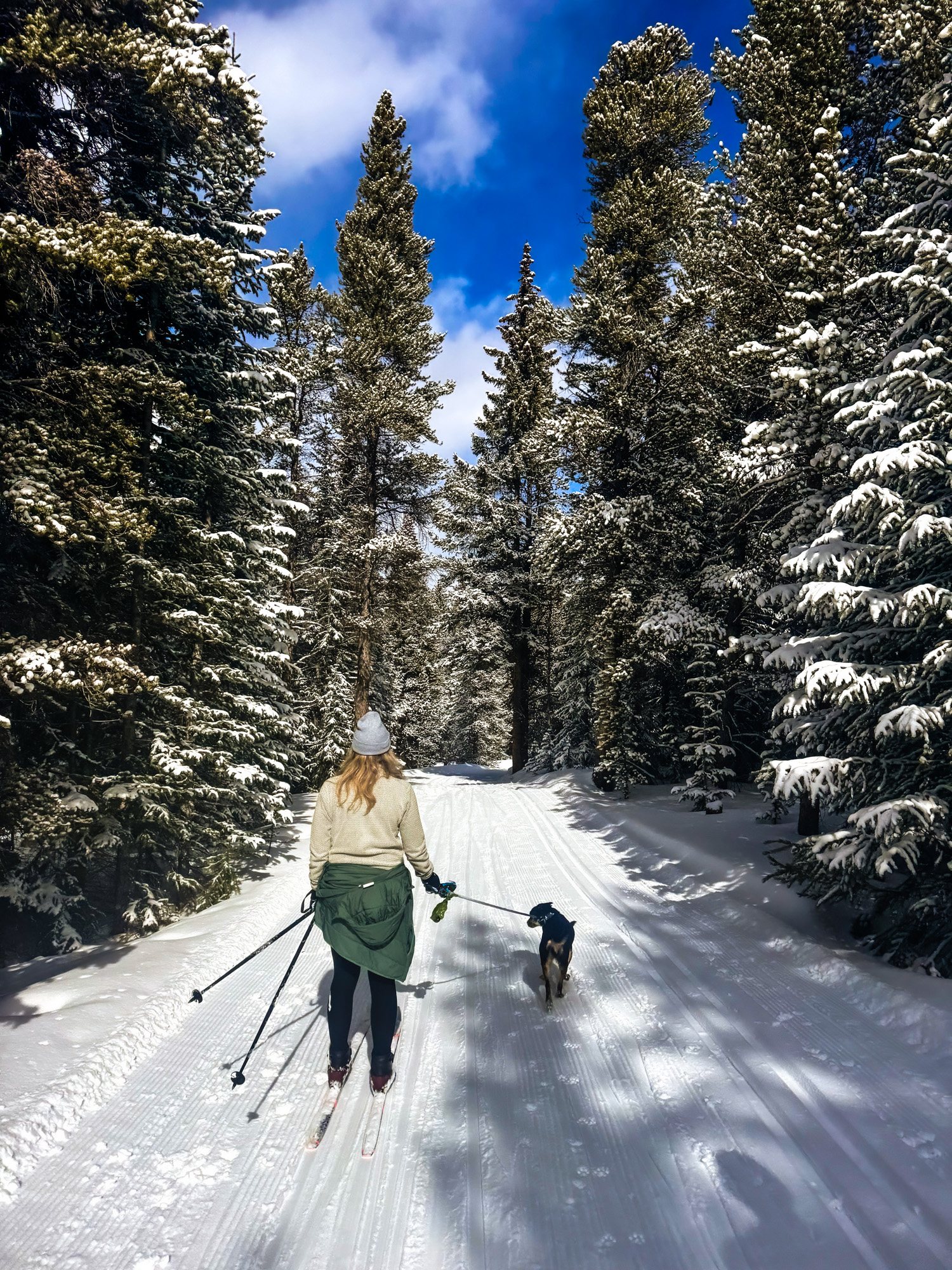 A cross-country skier and her dog on a groomed track at Tennessee Pass Nordic Center