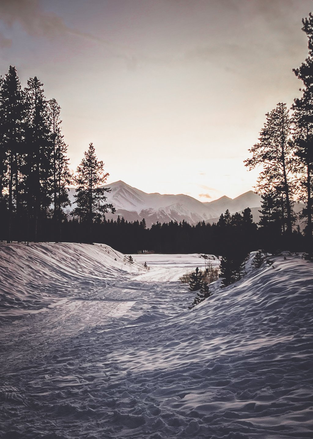 Groomed winter trail through pines at dusk on the Timberline Trails at Colorado Mountain College in Leadville